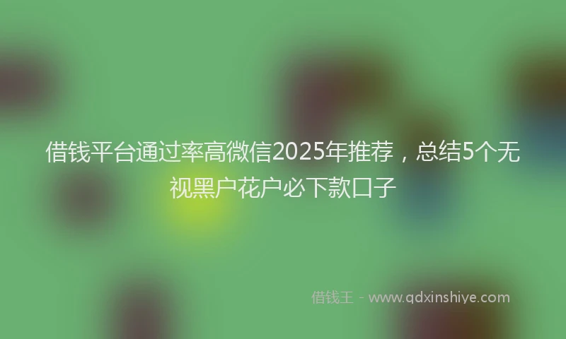 借钱平台通过率高微信2025年推荐，总结5个无视黑户花户必下款口子