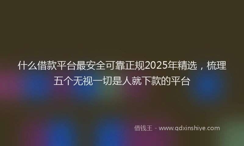 什么借款平台最安全可靠正规2025年精选，梳理五个无视一切是人就下款的平台
