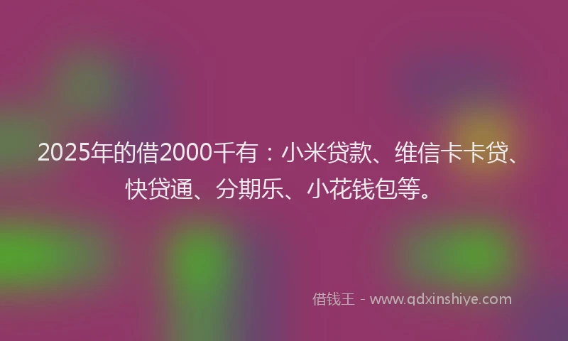 2025年的借2000千有：小米贷款、维信卡卡贷、快贷通、分期乐、小花钱包等。