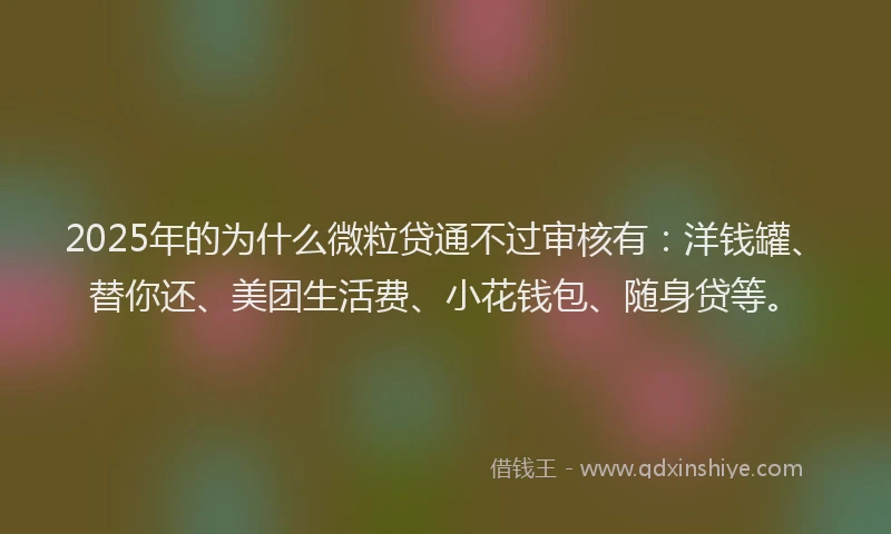 2025年的为什么微粒贷通不过审核有：洋钱罐、替你还、美团生活费、小花钱包、随身贷等。