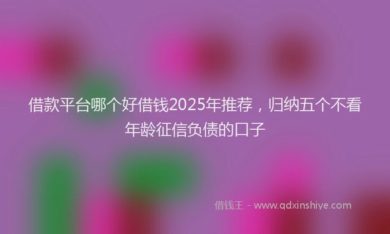 借款平台哪个好借钱2025年推荐，归纳五个不看年龄征信负债的口子