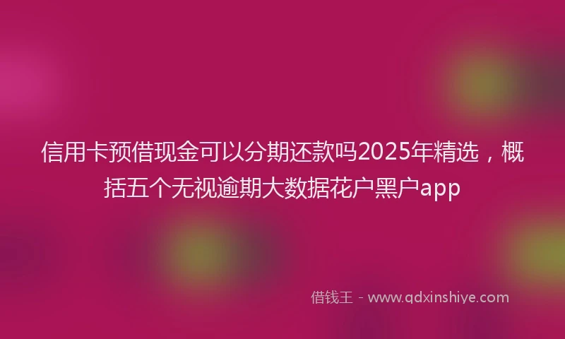 信用卡预借现金可以分期还款吗2025年精选，概括五个无视逾期大数据花户黑户app