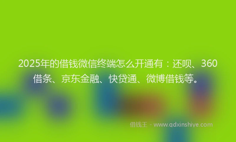 2025年的借钱微信终端怎么开通有：还呗、360借条、京东金融、快贷通、微博借钱等。