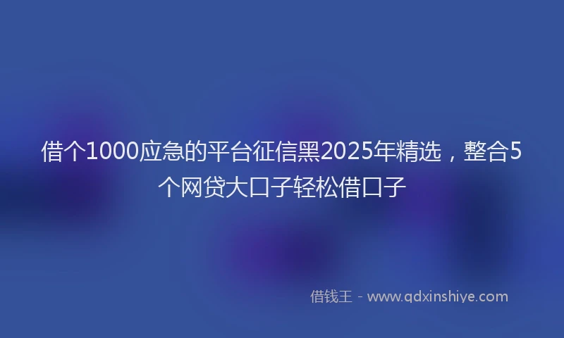 借个1000应急的平台征信黑2025年精选，整合5个网贷大口子轻松借口子
