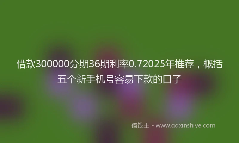 借款300000分期36期利率0.72025年推荐，概括五个新手机号容易下款的口子