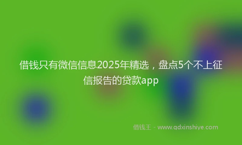 借钱只有微信信息2025年精选，盘点5个不上征信报告的贷款app