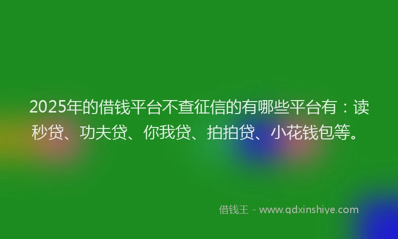 2025年的借钱平台不查征信的有哪些平台有：读秒贷、功夫贷、你我贷、拍拍贷、小花钱包等。