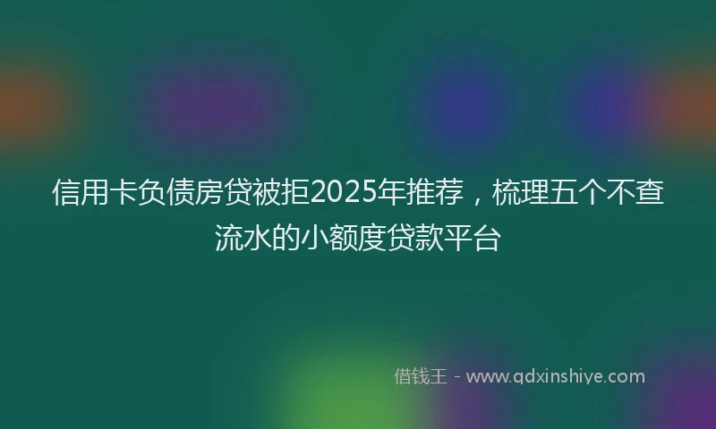 信用卡负债房贷被拒2025年推荐，梳理五个不查流水的小额度贷款平台