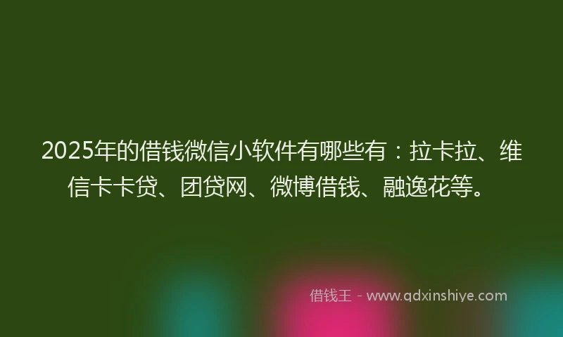 2025年的借钱微信小软件有哪些有：拉卡拉、维信卡卡贷、团贷网、微博借钱、融逸花等。