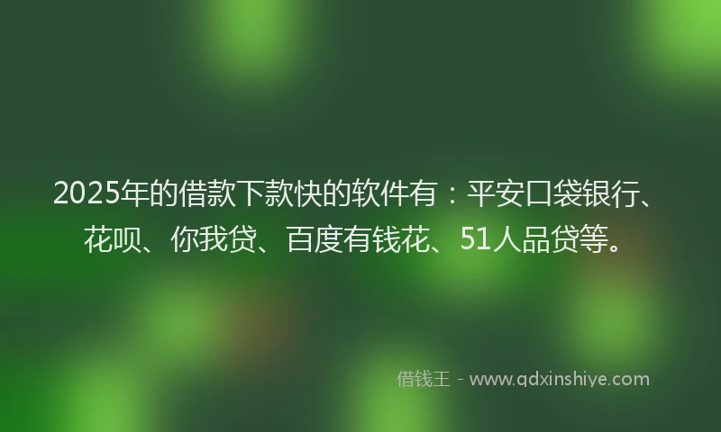 2025年的借款下款快的软件有：平安口袋银行、花呗、你我贷、百度有钱花、51人品贷等。