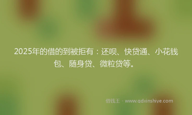 2025年的借的到被拒有：还呗、快贷通、小花钱包、随身贷、微粒贷等。