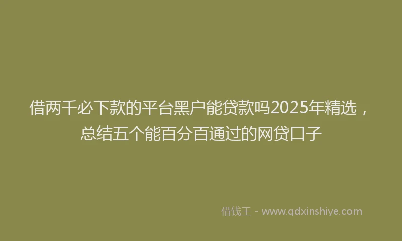 借两千必下款的平台黑户能贷款吗2025年精选，总结五个能百分百通过的网贷口子