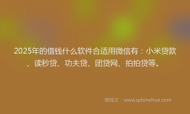 2025年的借钱什么软件合适用微信有：小米贷款、读秒贷、功夫贷、团贷网、拍拍贷等。
