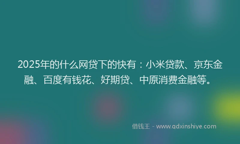 2025年的什么网贷下的快有：小米贷款、京东金融、百度有钱花、好期贷、中原消费金融等。
