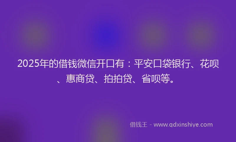 2025年的借钱微信开口有：平安口袋银行、花呗、惠商贷、拍拍贷、省呗等。