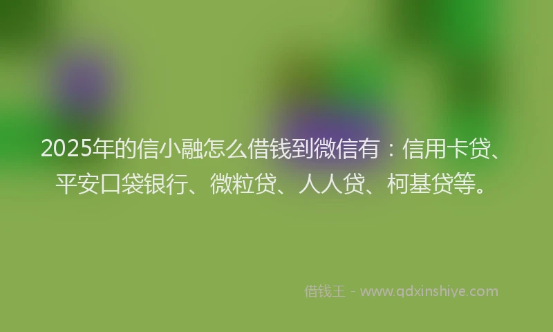 2025年的信小融怎么借钱到微信有：信用卡贷、平安口袋银行、微粒贷、人人贷、柯基贷等。
