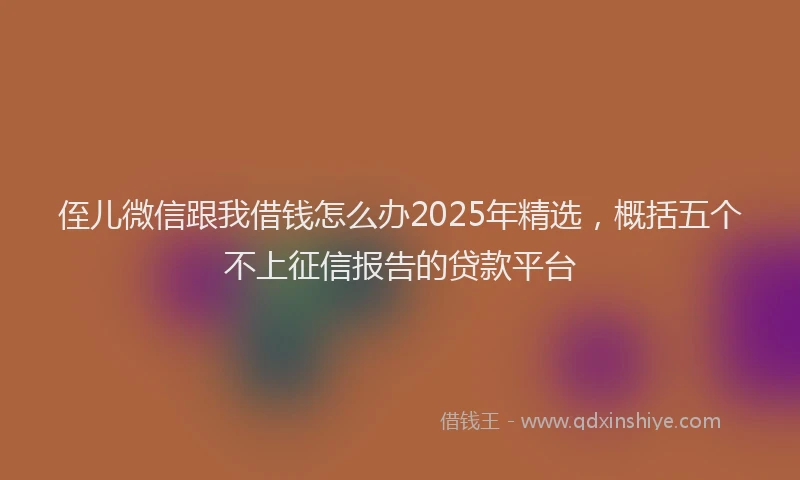 侄儿微信跟我借钱怎么办2025年精选，概括五个不上征信报告的贷款平台
