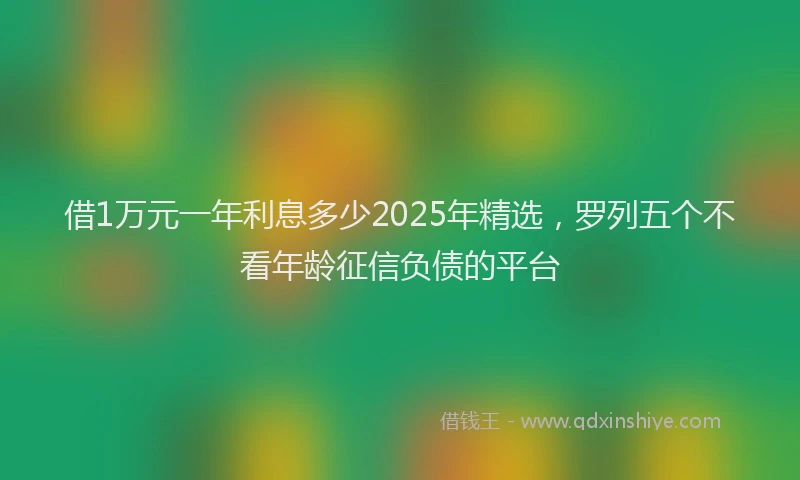 借1万元一年利息多少2025年精选，罗列五个不看年龄征信负债的平台