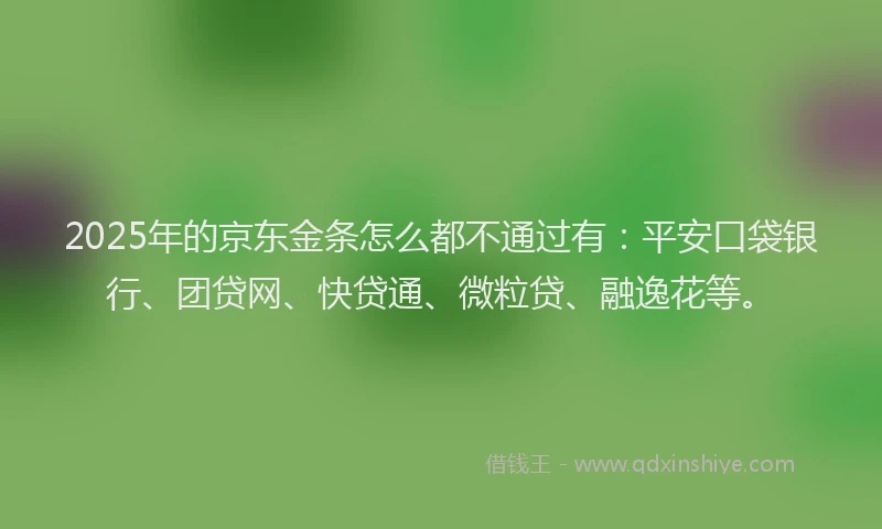 2025年的京东金条怎么都不通过有：平安口袋银行、团贷网、快贷通、微粒贷、融逸花等。