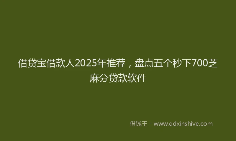 借贷宝借款人2025年推荐，盘点五个秒下700芝麻分贷款软件