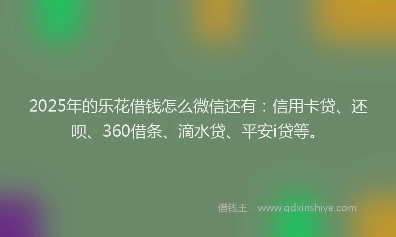 2025年的乐花借钱怎么微信还有：信用卡贷、还呗、360借条、滴水贷、平安i贷等。