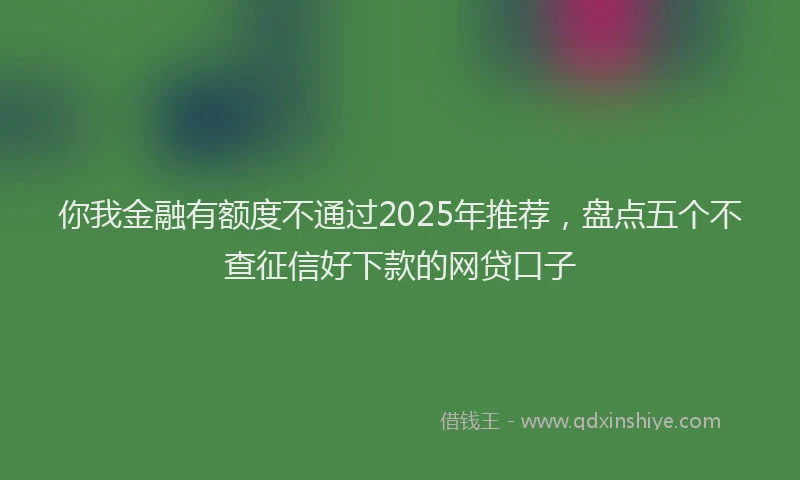 你我金融有额度不通过2025年推荐，盘点五个不查征信好下款的网贷口子