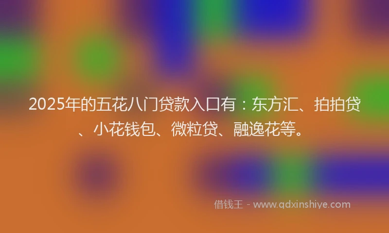 2025年的五花八门贷款入口有：东方汇、拍拍贷、小花钱包、微粒贷、融逸花等。