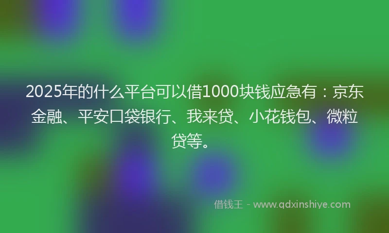2025年的什么平台可以借1000块钱应急有：京东金融、平安口袋银行、我来贷、小花钱包、微粒贷等。