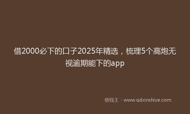 借2000必下的口子2025年精选，梳理5个高炮无视逾期能下的app