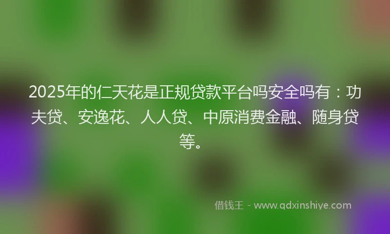 2025年的仁天花是正规贷款平台吗安全吗有：功夫贷、安逸花、人人贷、中原消费金融、随身贷等。