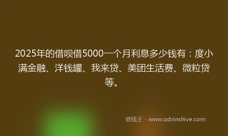 2025年的借呗借5000一个月利息多少钱有：度小满金融、洋钱罐、我来贷、美团生活费、微粒贷等。