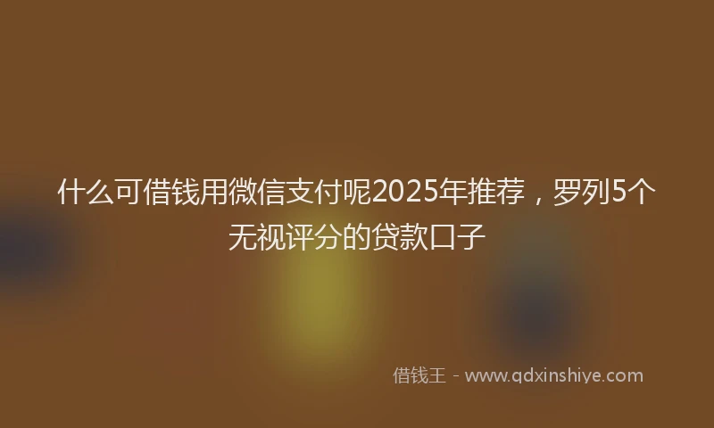 什么可借钱用微信支付呢2025年推荐，罗列5个无视评分的贷款口子