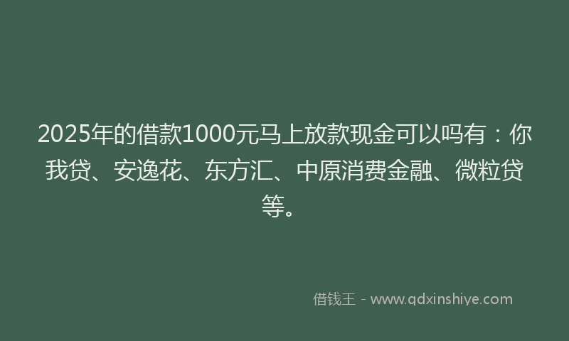 2025年的借款1000元马上放款现金可以吗有：你我贷、安逸花、东方汇、中原消费金融、微粒贷等。