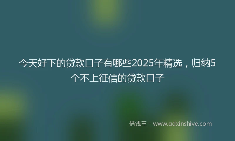 今天好下的贷款口子有哪些2025年精选，归纳5个不上征信的贷款口子