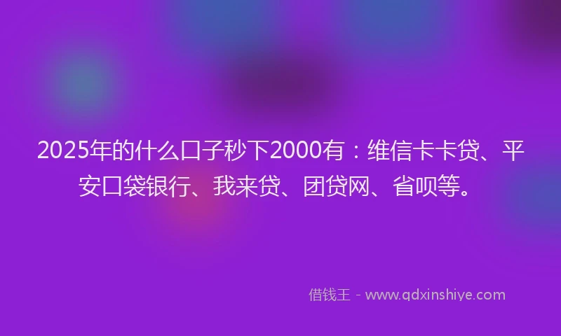 2025年的什么口子秒下2000有：维信卡卡贷、平安口袋银行、我来贷、团贷网、省呗等。