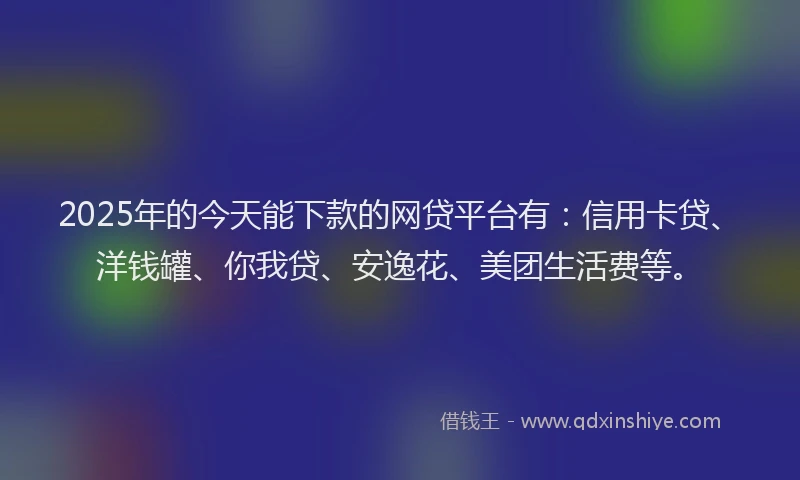 2025年的今天能下款的网贷平台有：信用卡贷、洋钱罐、你我贷、安逸花、美团生活费等。