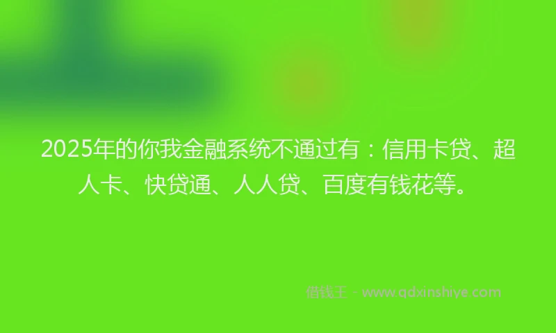 2025年的你我金融系统不通过有：信用卡贷、超人卡、快贷通、人人贷、百度有钱花等。