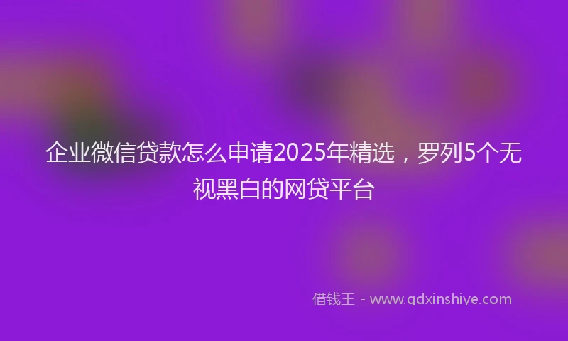 企业微信贷款怎么申请2025年精选，罗列5个无视黑白的网贷平台