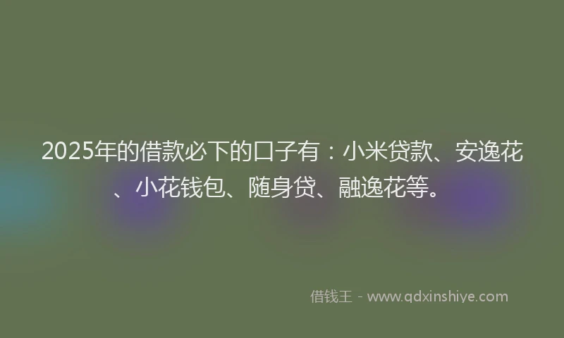 2025年的借款必下的口子有：小米贷款、安逸花、小花钱包、随身贷、融逸花等。
