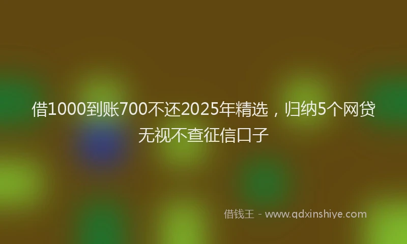 借1000到账700不还2025年精选，归纳5个网贷无视不查征信口子