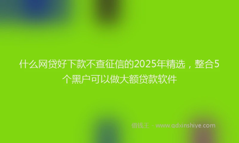 什么网贷好下款不查征信的2025年精选，整合5个黑户可以做大额贷款软件