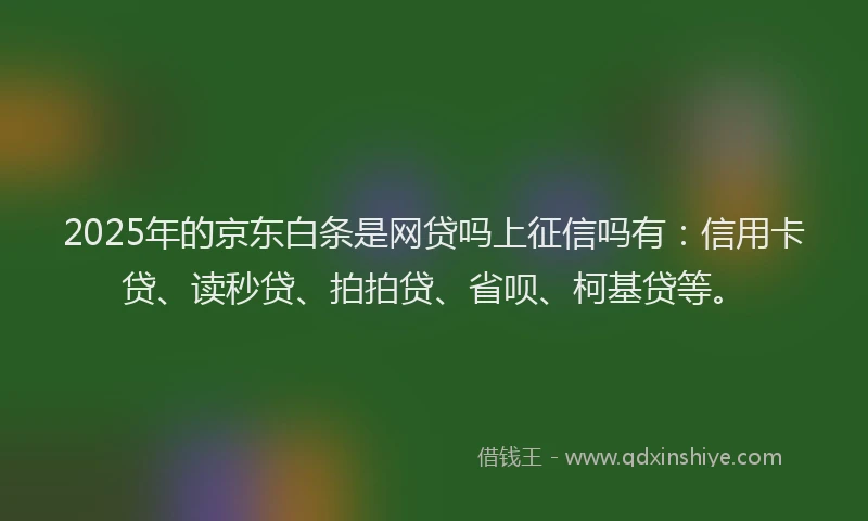 2025年的京东白条是网贷吗上征信吗有：信用卡贷、读秒贷、拍拍贷、省呗、柯基贷等。