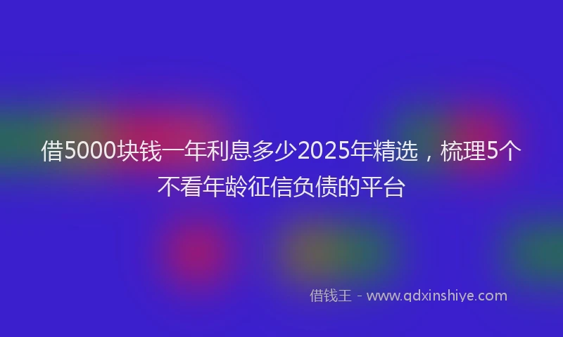 借5000块钱一年利息多少2025年精选，梳理5个不看年龄征信负债的平台