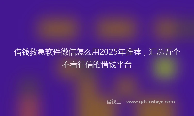 借钱救急软件微信怎么用2025年推荐，汇总五个不看征信的借钱平台