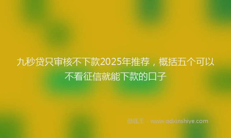 九秒贷只审核不下款2025年推荐，概括五个可以不看征信就能下款的口子