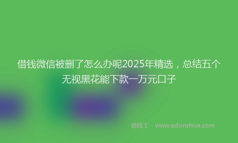 借钱微信被删了怎么办呢2025年精选，总结五个无视黑花能下款一万元口子