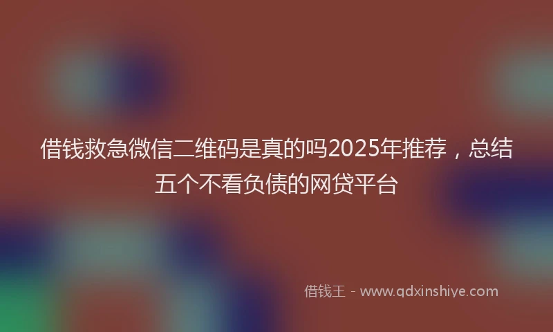 借钱救急微信二维码是真的吗2025年推荐，总结五个不看负债的网贷平台