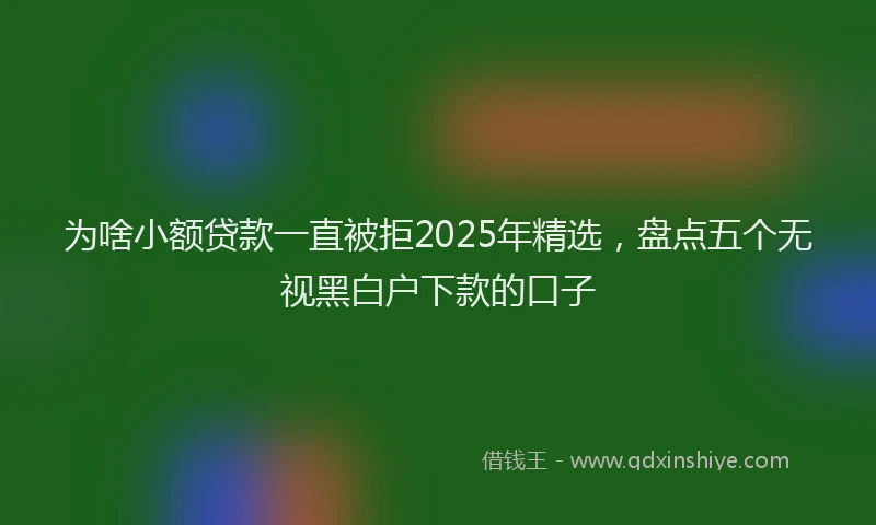 为啥小额贷款一直被拒2025年精选，盘点五个无视黑白户下款的口子