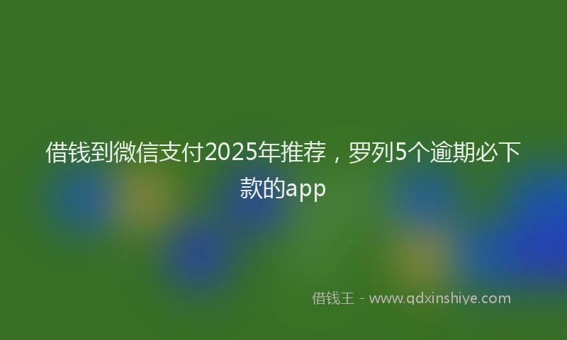 借钱到微信支付2025年推荐，罗列5个逾期必下款的app