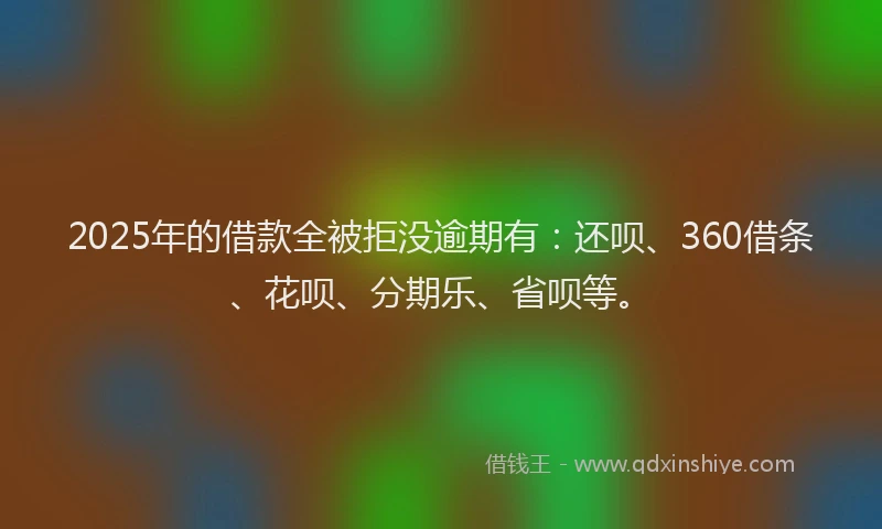 2025年的借款全被拒没逾期有：还呗、360借条、花呗、分期乐、省呗等。